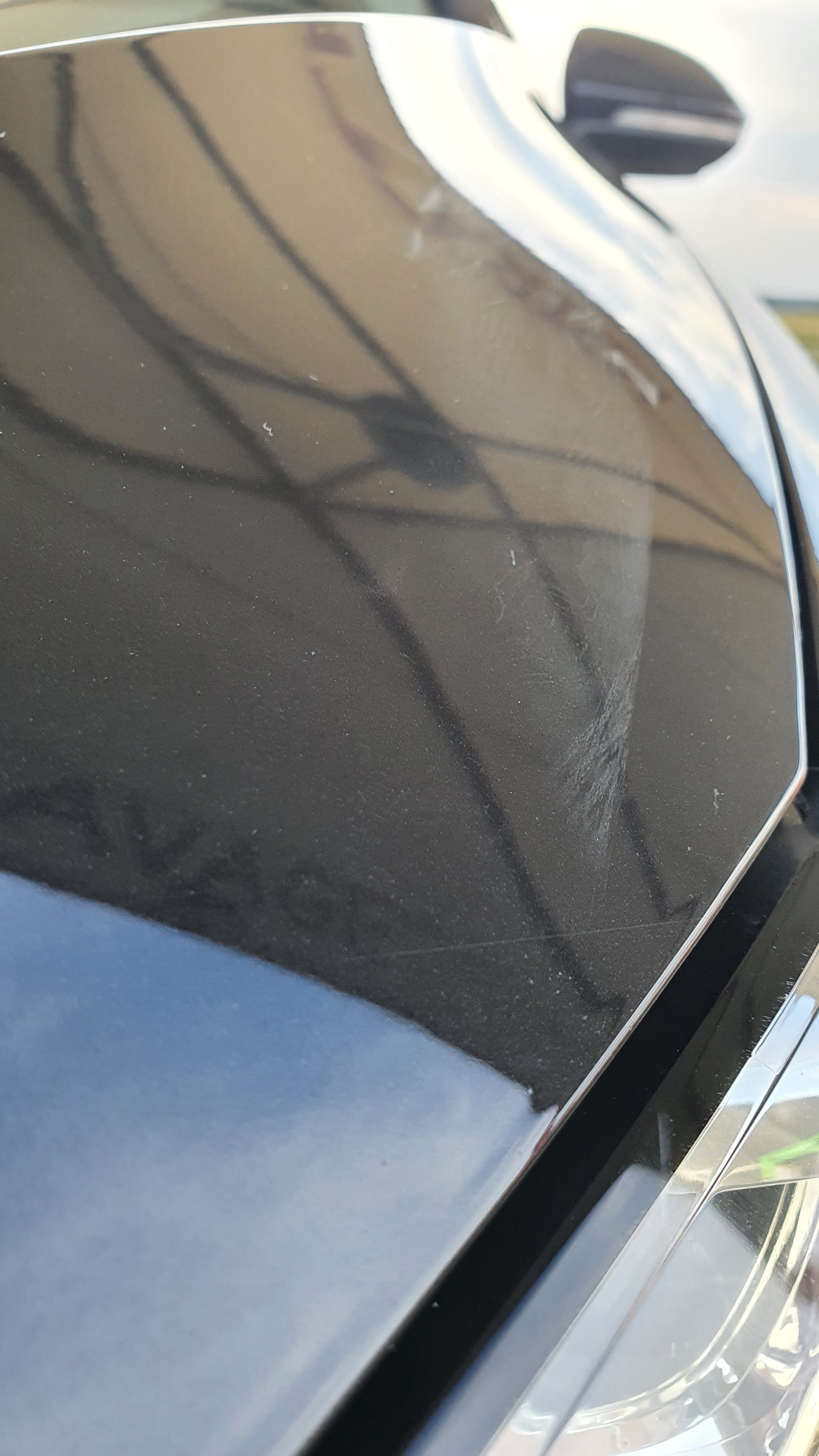 Photo n° 3 de l'avis de Stedy.A fait le 22/08/2020 à 20:52
