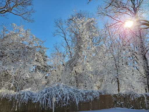 Golf Club «Piping Rock Club», reviews and photos, 150 Piping Rock Rd, Locust Valley, NY 11560, USA