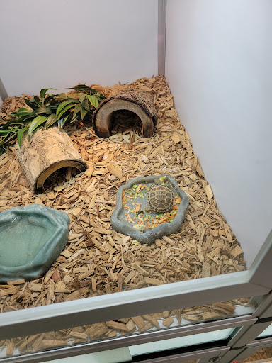 Pet Store «Pets & Such», reviews and photos, 3680 3500 S, West Valley City, UT 84120, USA