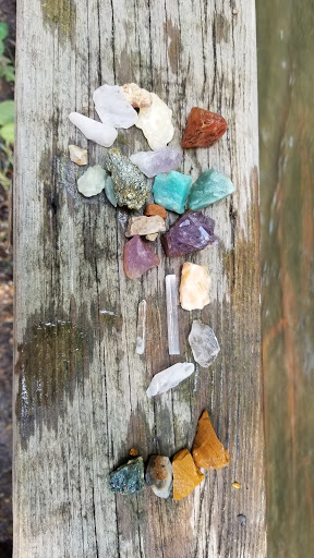 Tourist Attraction «Lucky Ladd Farms», reviews and photos, 4374 Rocky Glade Rd, Eagleville, TN 37060, USA