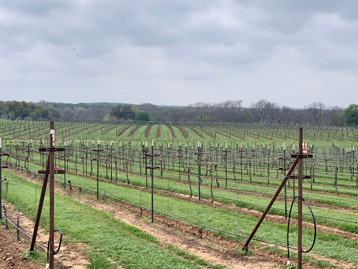 Winery «Fiesta Winery», reviews and photos, 18727 FM 580, Lometa, TX 76853, USA