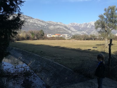 Photos of Bomaco
