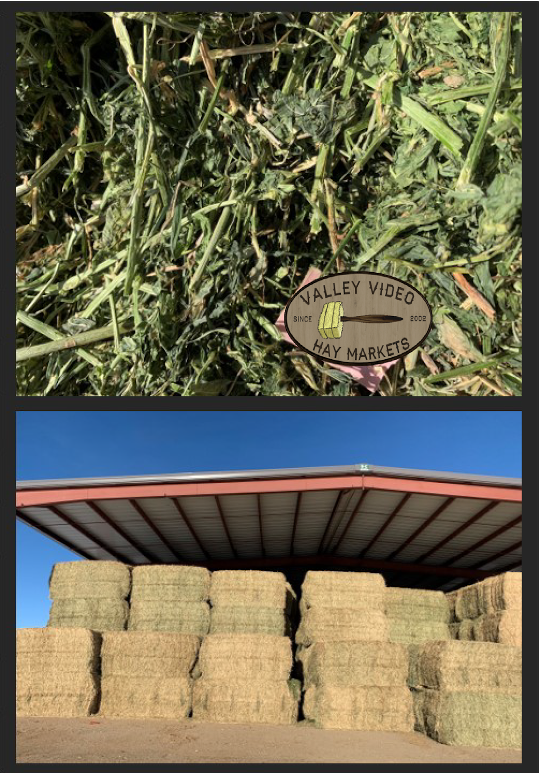 Valley Video Hay Markets