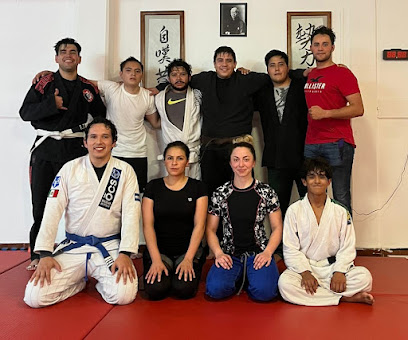 Dream Kino Jiu Jitsu Toluca