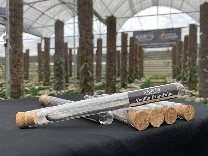 KAIROS AGRICULTURE - Vanilla Planting | Smart Agritech | Natural Farming