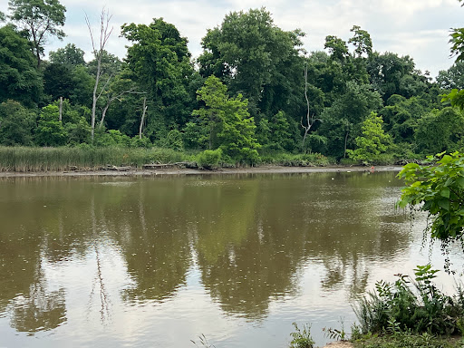 National Park «Kenilworth Park», reviews and photos, 1505 Ancostia Ave NE, Washington, DC 20019, USA