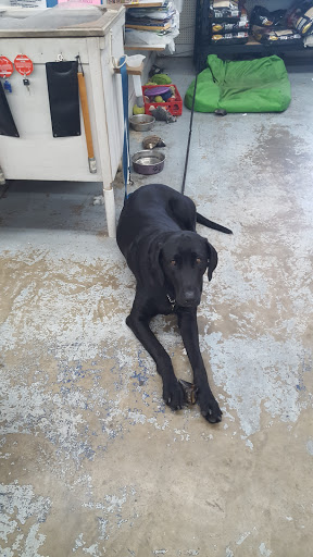 Pet Supply Store «Coastline Pet Supply», reviews and photos, 3530 Northgate Dr, Myrtle Beach, SC 29588, USA