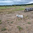 Pegasus Dog Park