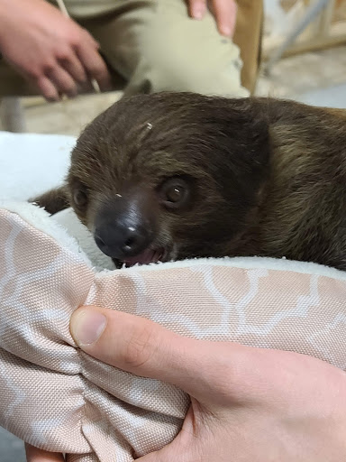 Science Museum «MOST Syracuse (Museum of Science & Technology)», reviews and photos, 500 S Franklin St, Syracuse, NY 13202, USA