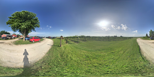 Winery «Wooden Wheel Vineyards & Winery», reviews and photos, 1179 IA-92, Keota, IA 52248, USA