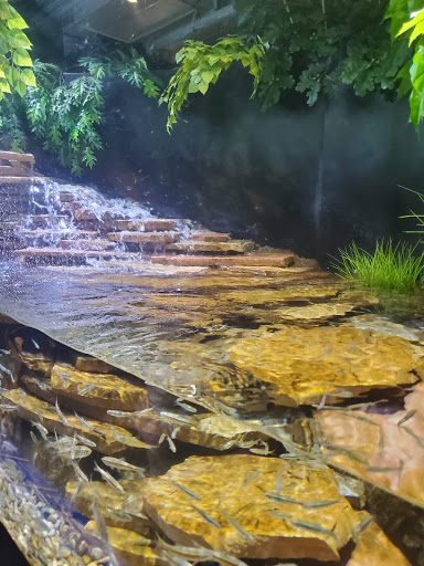 Aquarium «Newport Aquarium», reviews and photos, 1 Aquarium Way, Newport, KY 41071, USA