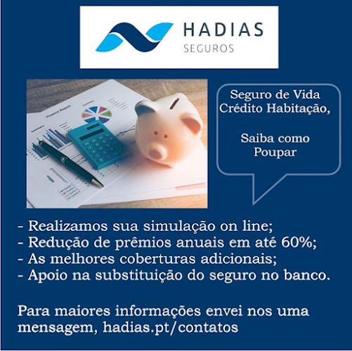 Hadias Seguros - Coimbra