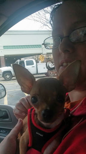 Pet Supply Store «Petsense Batesville», reviews and photos, 45 Eagle Mountain Blvd, Batesville, AR 72501, USA