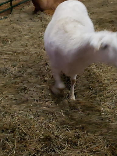 Haunted House «Land of Illusion Haunted Houses», reviews and photos, 8762 Thomas Rd, Middletown, OH 45042, USA