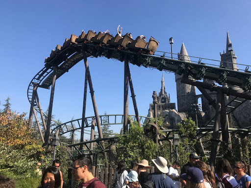 Flight of the Hippogriff