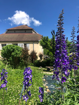 Lison des Sources à Nans-Sous-Sainte-Anne