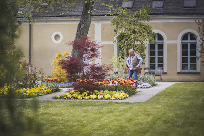 Michaël JAUNET Coach jardin à Écouflant