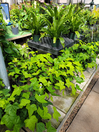 Florist «Platte Floral», reviews and photos, 1417 E Platte Ave, Colorado Springs, CO 80909, USA