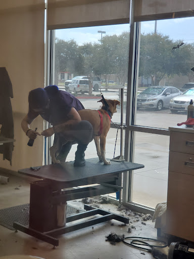 Pet Supply Store «Petco Animal Supplies», reviews and photos, 21348 Kuykendahl Rd, Spring, TX 77379, USA