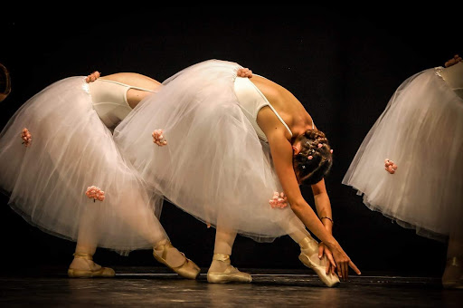 Academia de Ballet Clásico Terpsícore