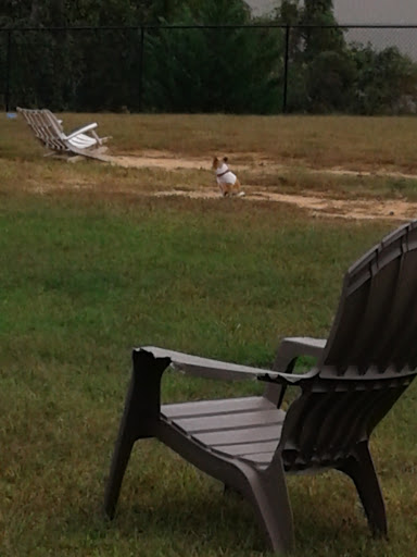 Community Center «Mulberry Creek Park & Community Center», reviews and photos, 4491 J M Turk Rd, Flowery Branch, GA 30542, USA