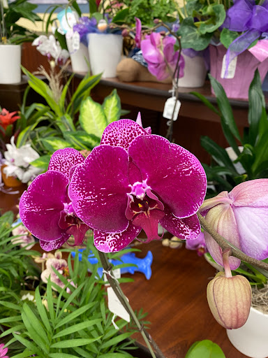 Grocery Store «Safeway», reviews and photos, 1891 Pioneer Pkwy E, Springfield, OR 97477, USA