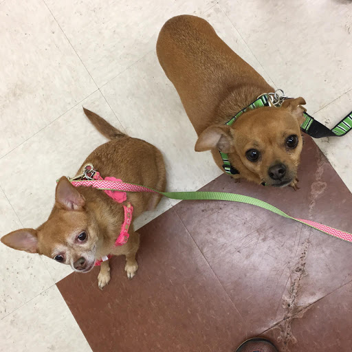 Pet Supply Store «PetSmart», reviews and photos, 4120 E 4th St, Ontario, CA 91764, USA