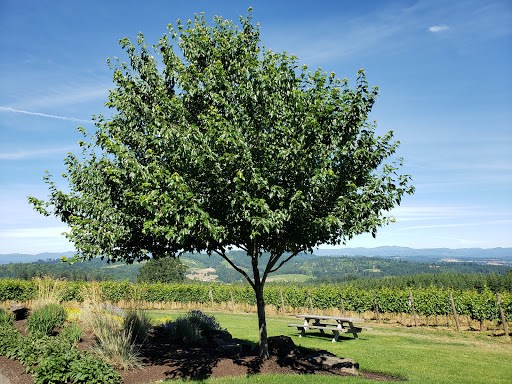 Winery «Eminent Domaine», reviews and photos, 20875 NE Ribbon Ridge Rd, Newberg, OR 97132, USA