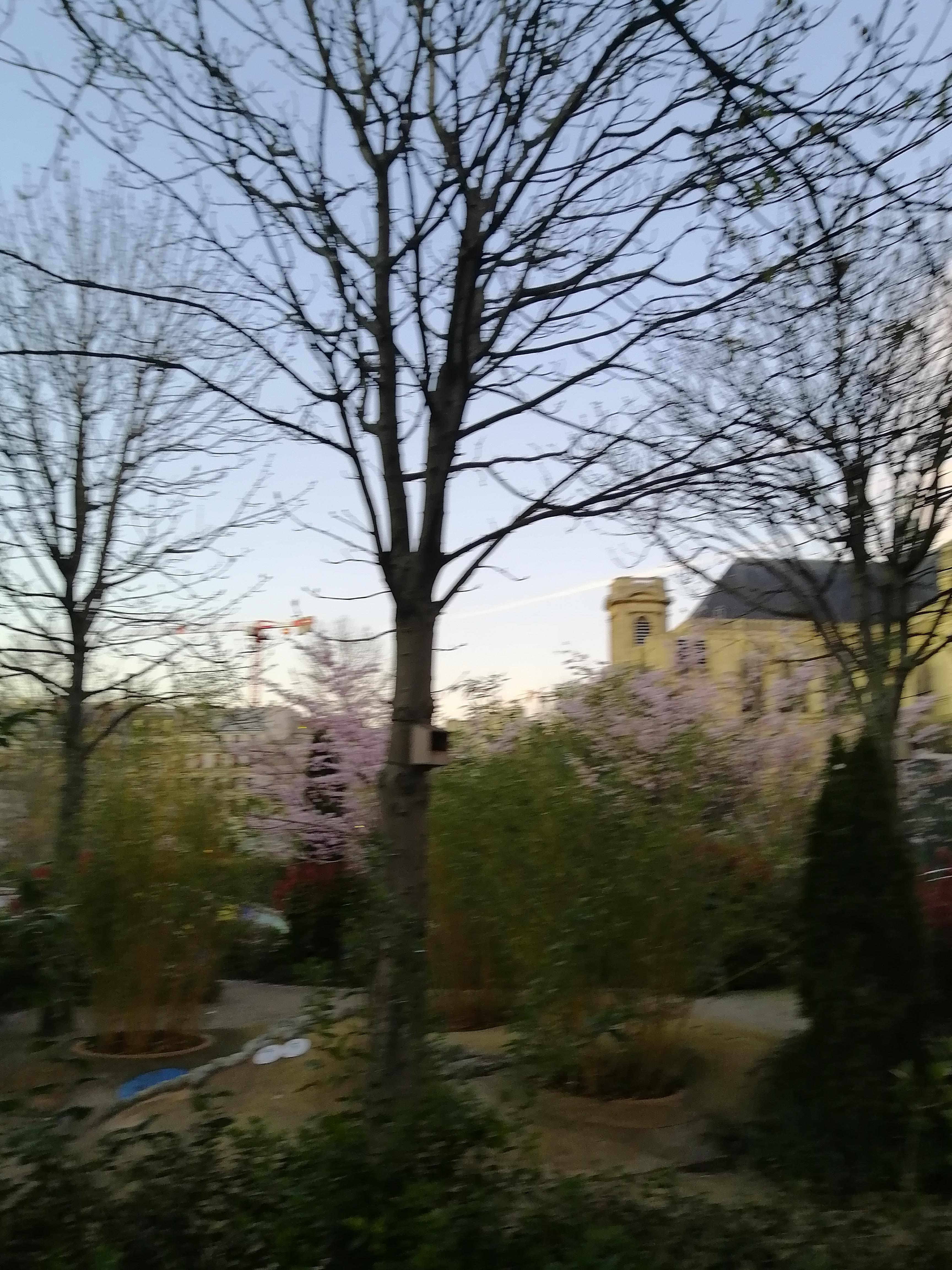 Photo n° 11 de l'avis de Davide.a fait le 17/03/2020 à 09:20