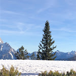 Photo n°2 de l'avis de davide.a fait le 09/02/2024 à 08:04 sur le  Masi Wine Bar Cortina à Cortina d'Ampezzo