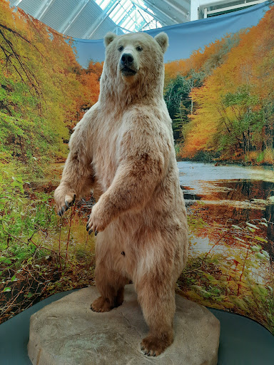 Sporting Goods Store «SCHEELS», reviews and photos, 6503 W 135th St, Overland Park, KS 66223, USA