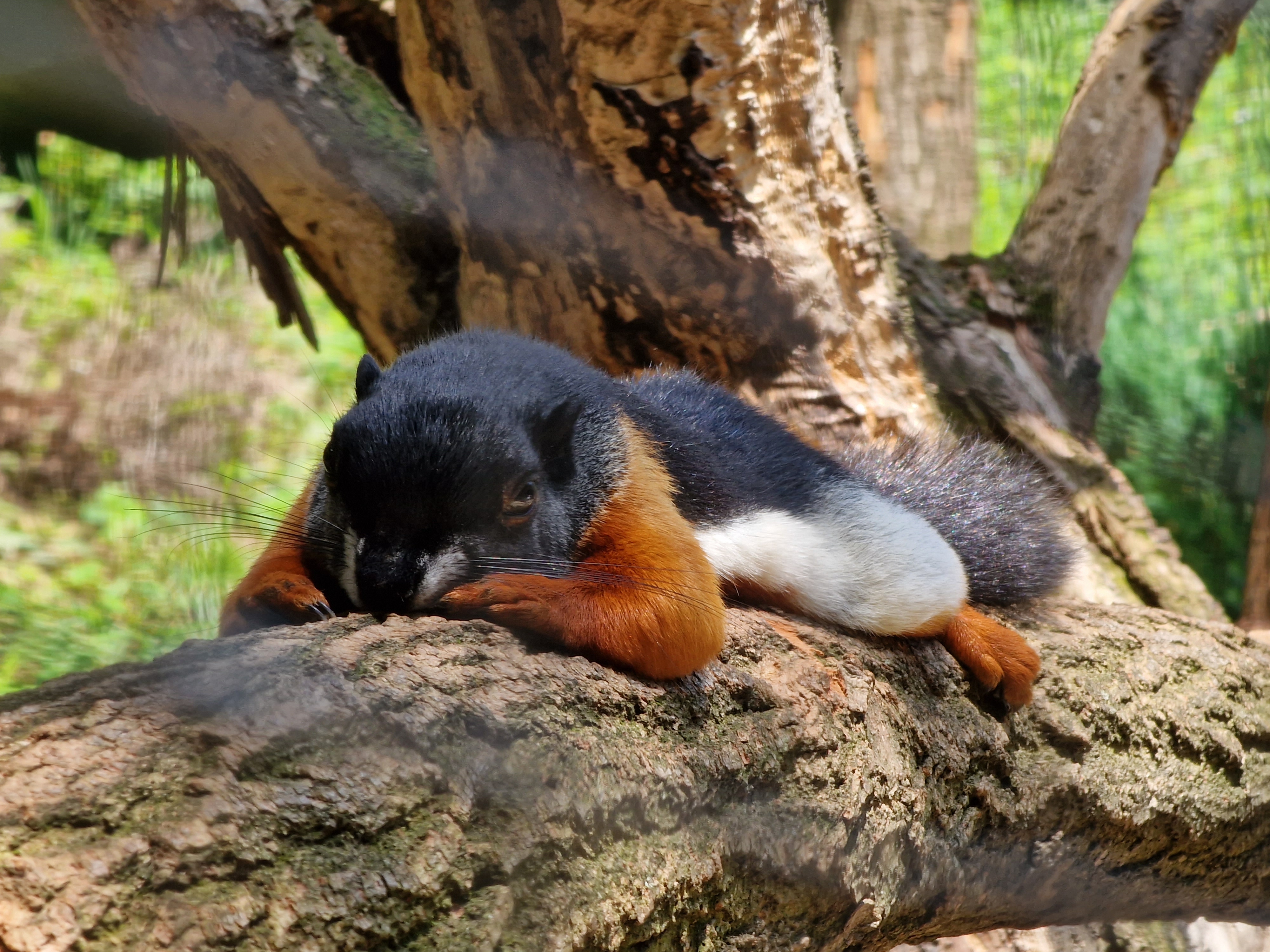 Photo n° 9 de l'avis de Andre.e fait le 09/08/2022 à 17:59