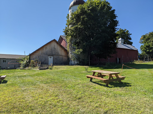 Winery «Baldwin Vineyards», reviews and photos, 176 Hardenburgh Rd, Pine Bush, NY 12566, USA