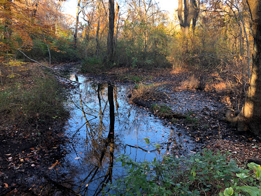 Nature Preserve «Brookside Preserve», reviews and photos, N Brookside Ave, Roosevelt, NY 11575, USA
