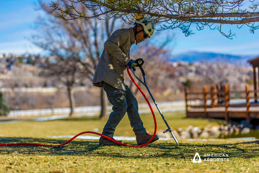 Tree service Reno