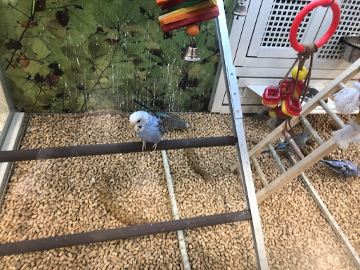 Pet Supply Store «PetSmart», reviews and photos, 145 Promenade Blvd, Bridgewater, NJ 08807, USA