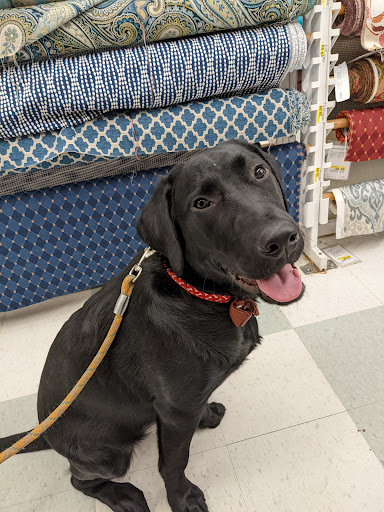 Fabric Store «Jo-Ann Fabrics and Crafts», reviews and photos, 2105 S Rochester Rd, Rochester Hills, MI 48307, USA