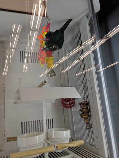 Pet Supply Store «Petco Animal Supplies», reviews and photos, 1215-1309 NJ-33 #1, Hamilton Township, NJ 08690, USA