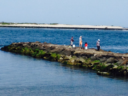 Aquarium «Atlantic City Aquarium», reviews and photos, 800 N New Hampshire Ave, Atlantic City, NJ 08401, USA