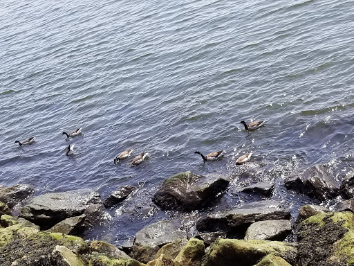 Park «Bensonhurst Park», reviews and photos, Cropsey Ave, Brooklyn, NY 11214, USA