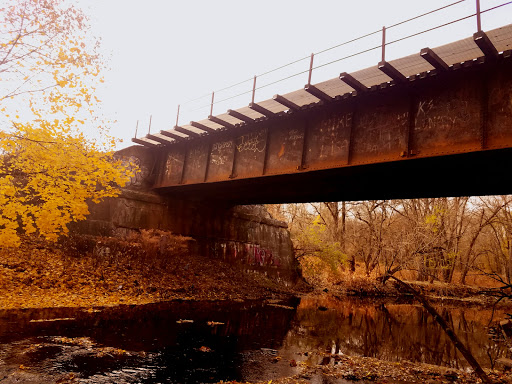 Park «Conant Park», reviews and photos, 310 Conant St, Hillside, NJ 07205, USA