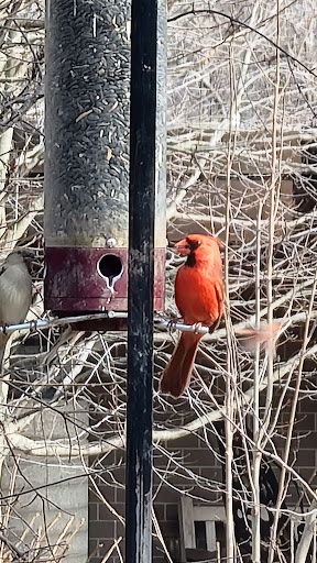 Gift Shop «Meijer Gardens Gift Shop», reviews and photos, 1000 E Beltline Ave NE, Grand Rapids, MI 49525, USA
