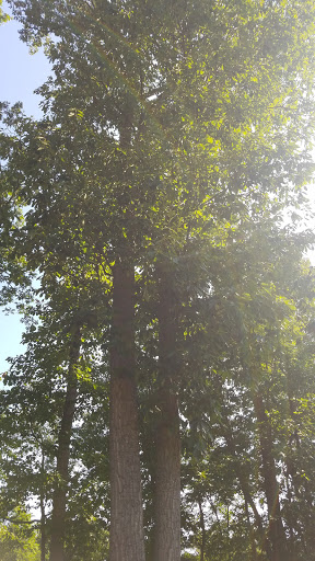 Used Car Dealer «Hunt Country Auto Sales», reviews and photos, 3198 Middleway Pike, Bunker Hill, WV 25413, USA