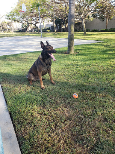 Pet Supply Store «Coast Pet Supplies», reviews and photos, 880 N Coast Hwy, Laguna Beach, CA 92651, USA