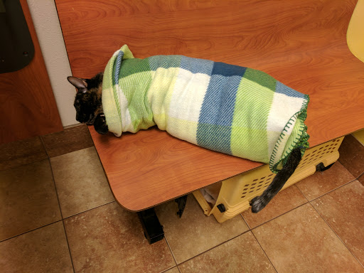 Pet Supply Store «PetSmart», reviews and photos, 3351 Jefferson Davis Hwy, Alexandria, VA 22305, USA