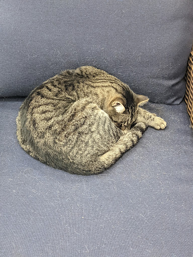 Home Improvement Store «The Home Depot», reviews and photos, 650 N 54th St a, Chandler, AZ 85226, USA