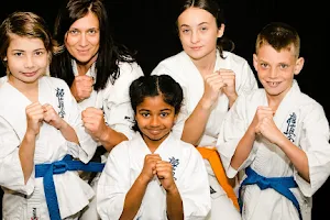 Shinkyokushin Karate Port Macquarie Dojo - Karate Kids on The Spectrum image