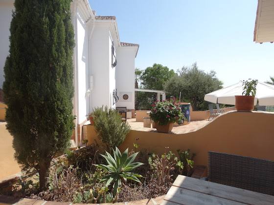 Photos du propriétaire Bed & breakfast La Vida Tranquila Bed & Breakfast 29792 Vélez-Málaga