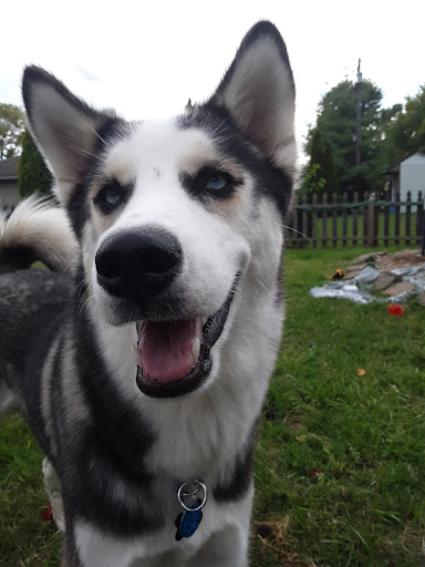 Explore 3 heart tattoo ideas, creative tattoo ideas in Lebanon, available at Infinity Ink Tattoo and Body Piercings