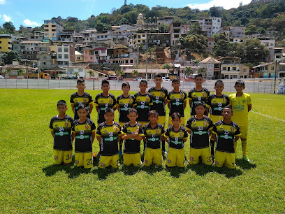 Club Deportivo Especializado Formativo Academia De Fútbol El Minero